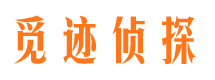 镇沅市场调查